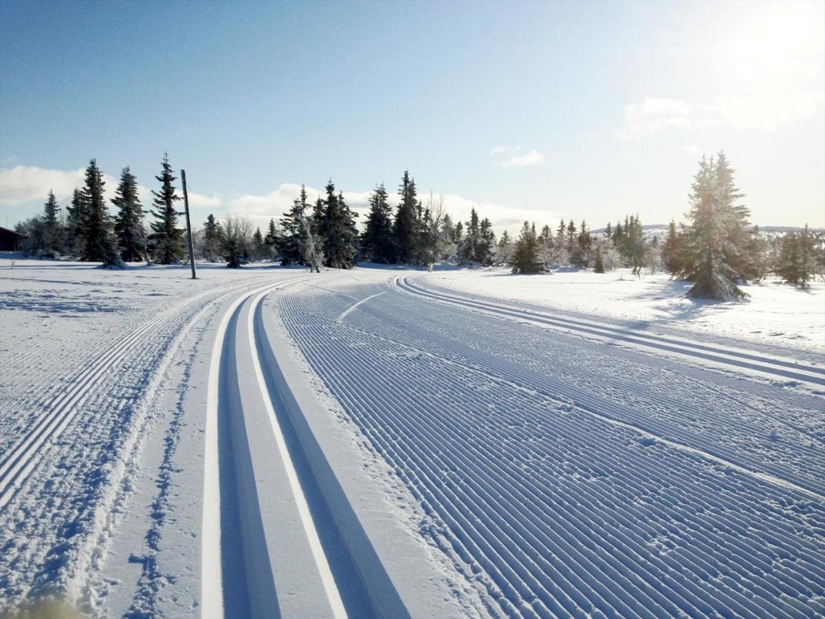 Ski And Bike-In And Out Хафьель Экстерьер фото